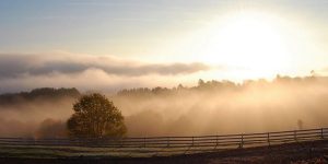 12183692_1709813079247645_4763361753055083446_o