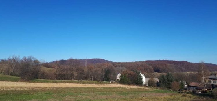 received_1023871311533148